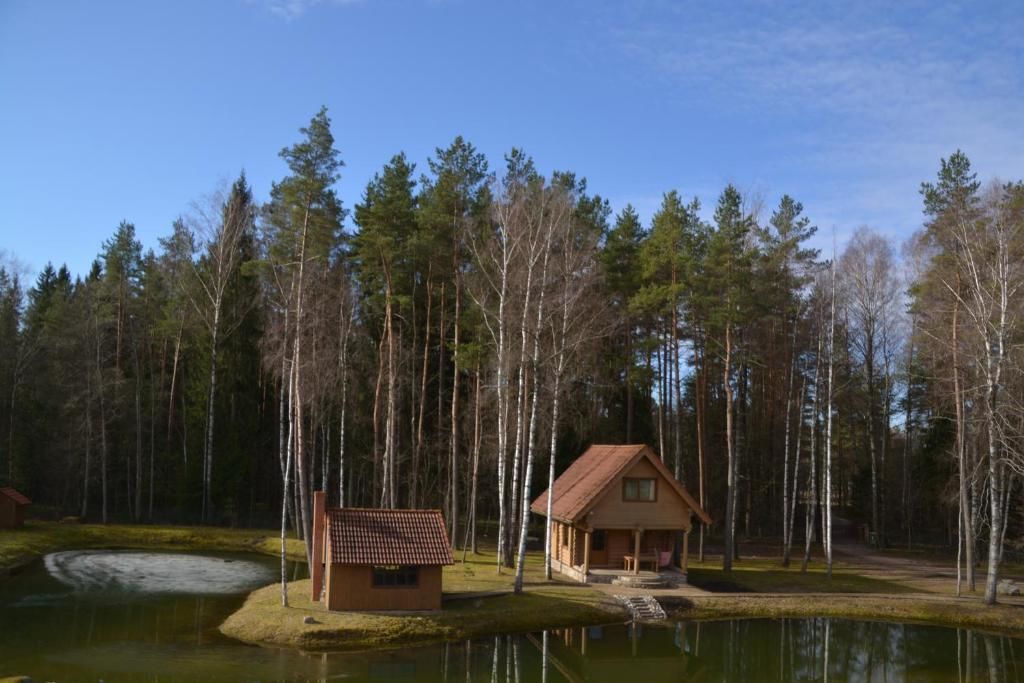 Дома для отпуска Medāji Zaķumuiža-27